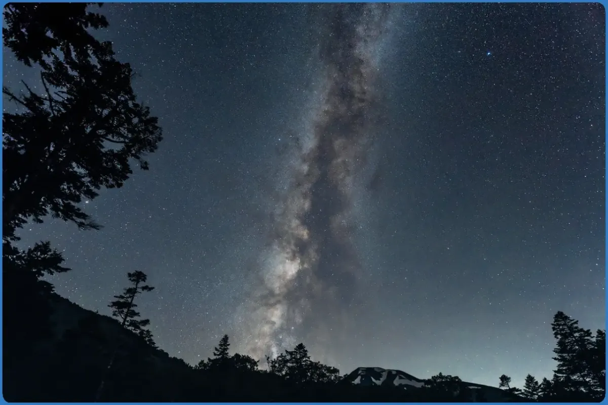 Night sky with Milky Way over trees