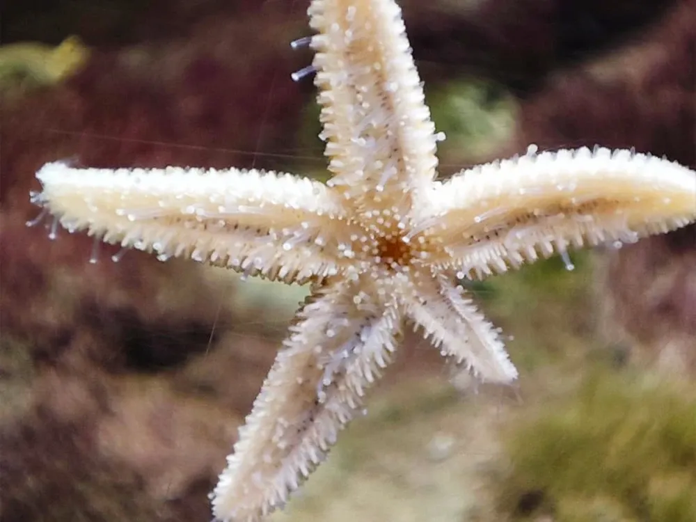 Achill Experience, Aquarium & Visitor Centre