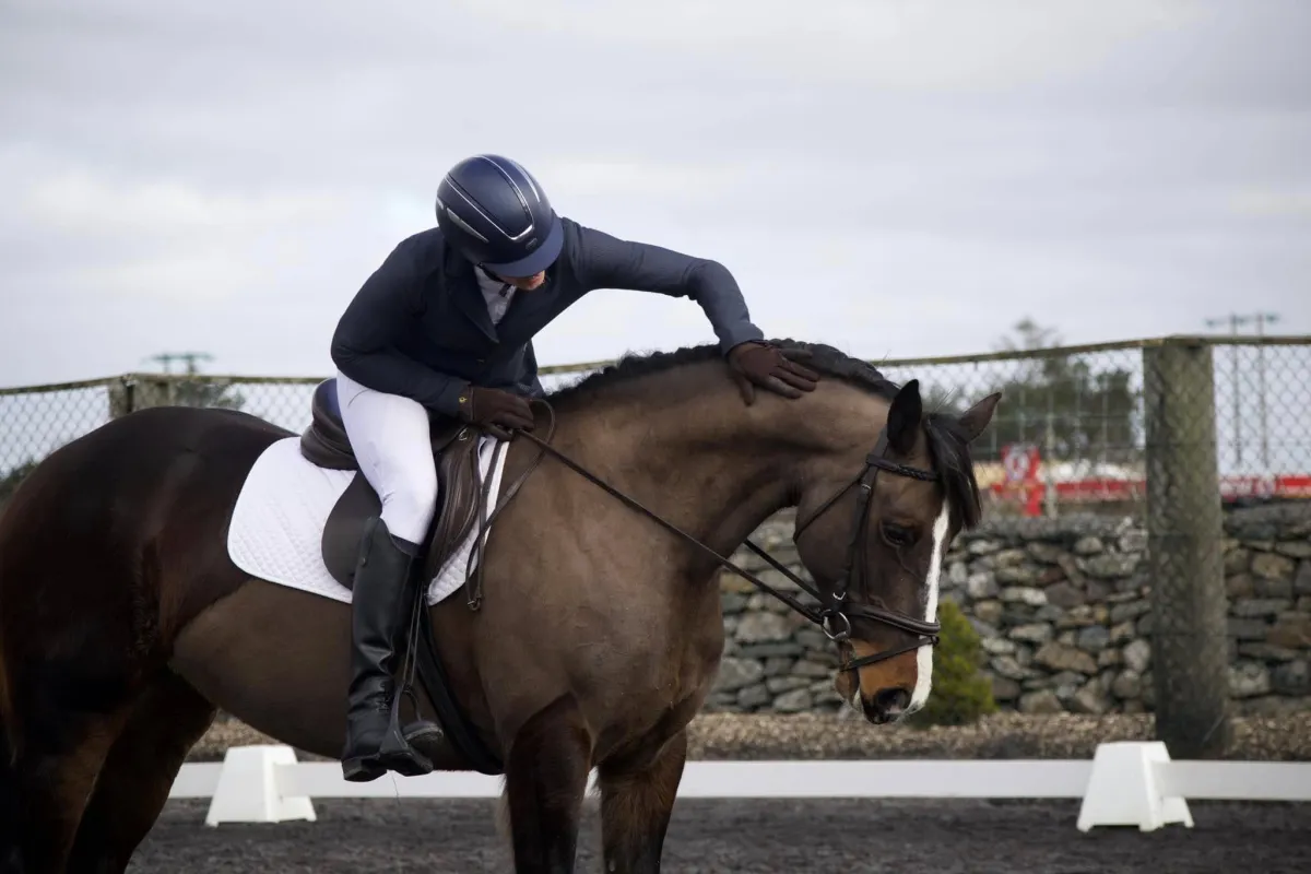 Equestrian rider patting horse's neck