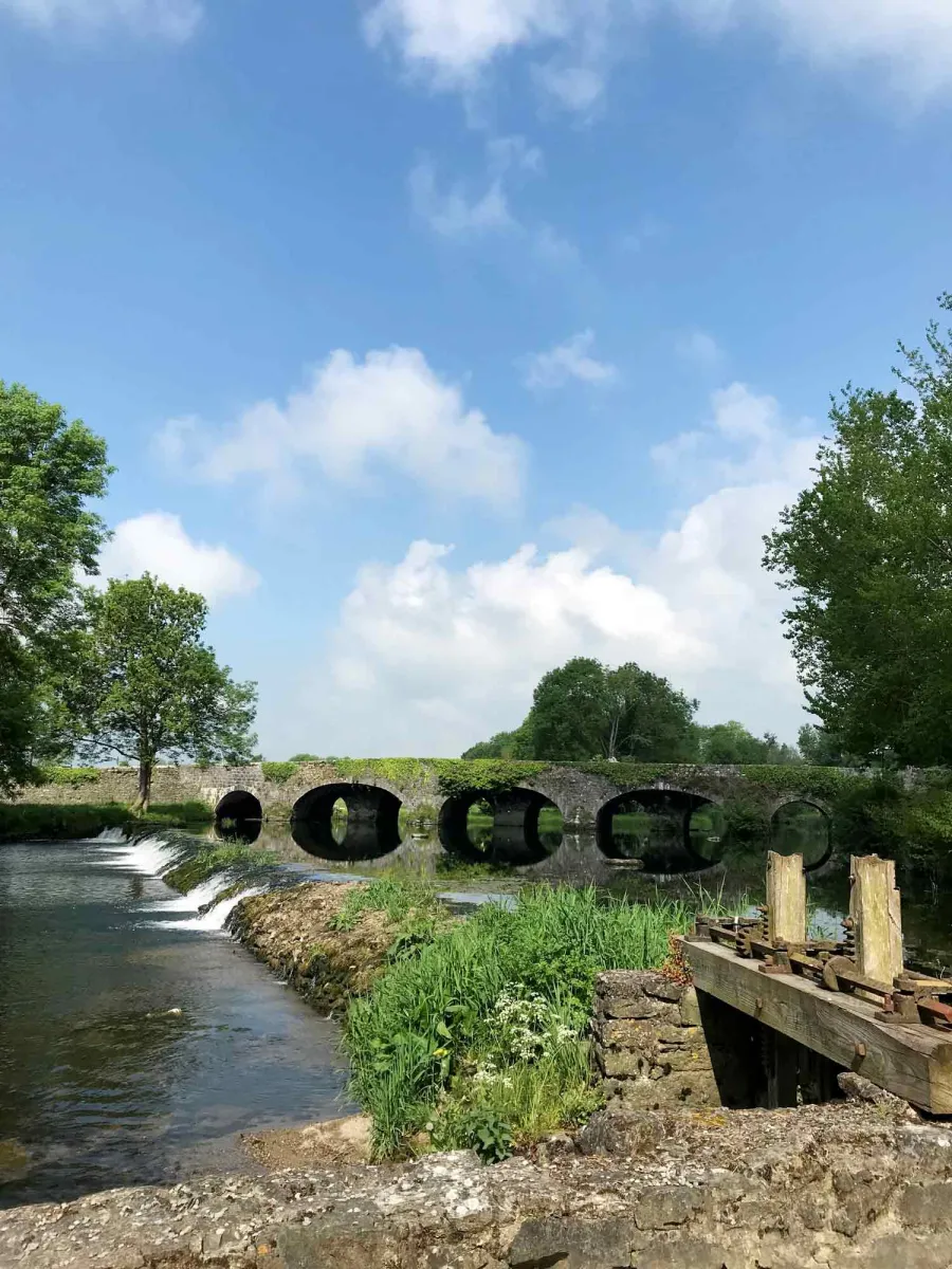 Stone bridge over a river with greenery