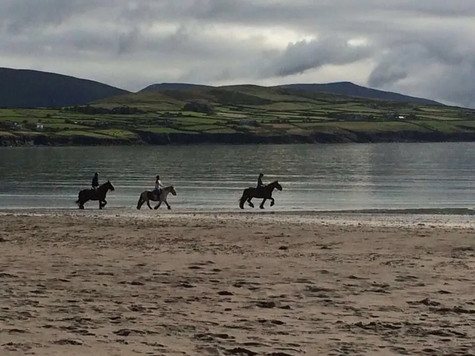 Three people riding horses on a beach.