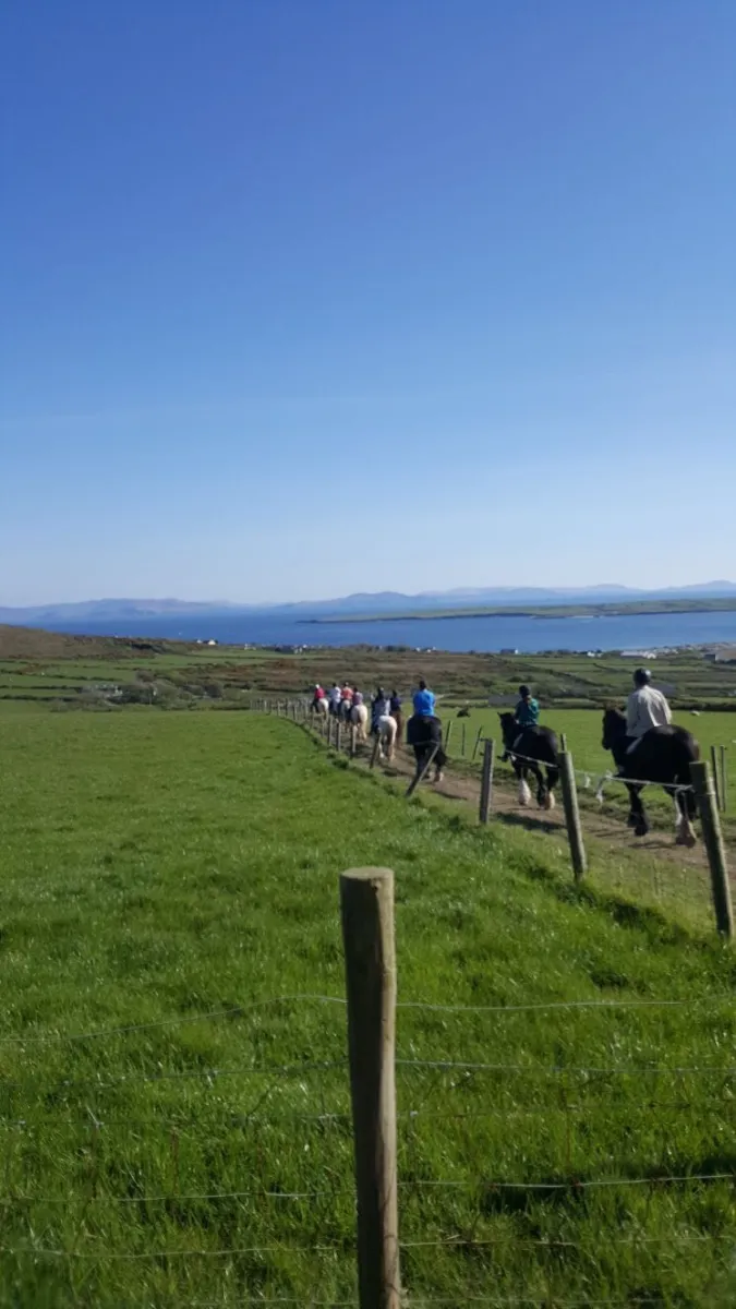 Group horseback riding on a trail by the sea