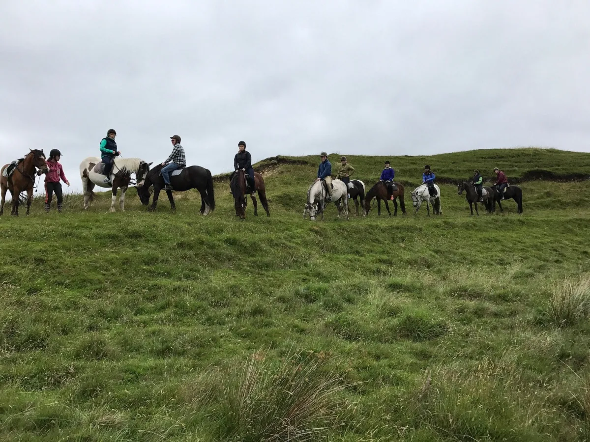 Group of people horseback riding on a grassy hill.
