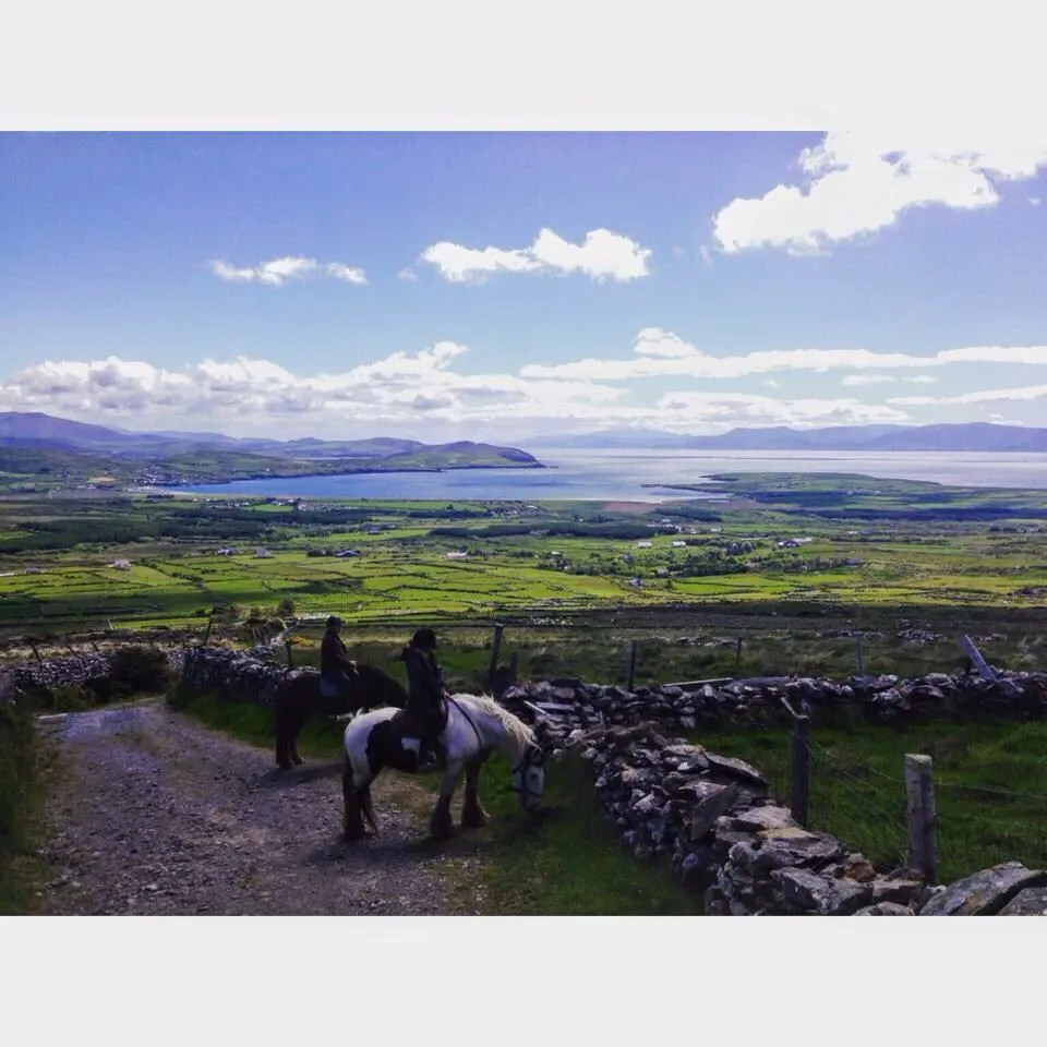 Two people on horseback overlooking a scenic landscape.