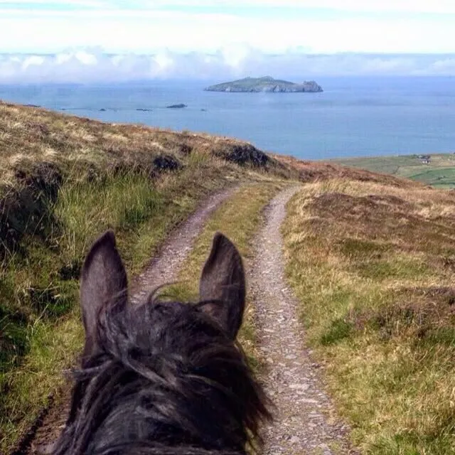 View from horseback of a coastal path leading to the sea.