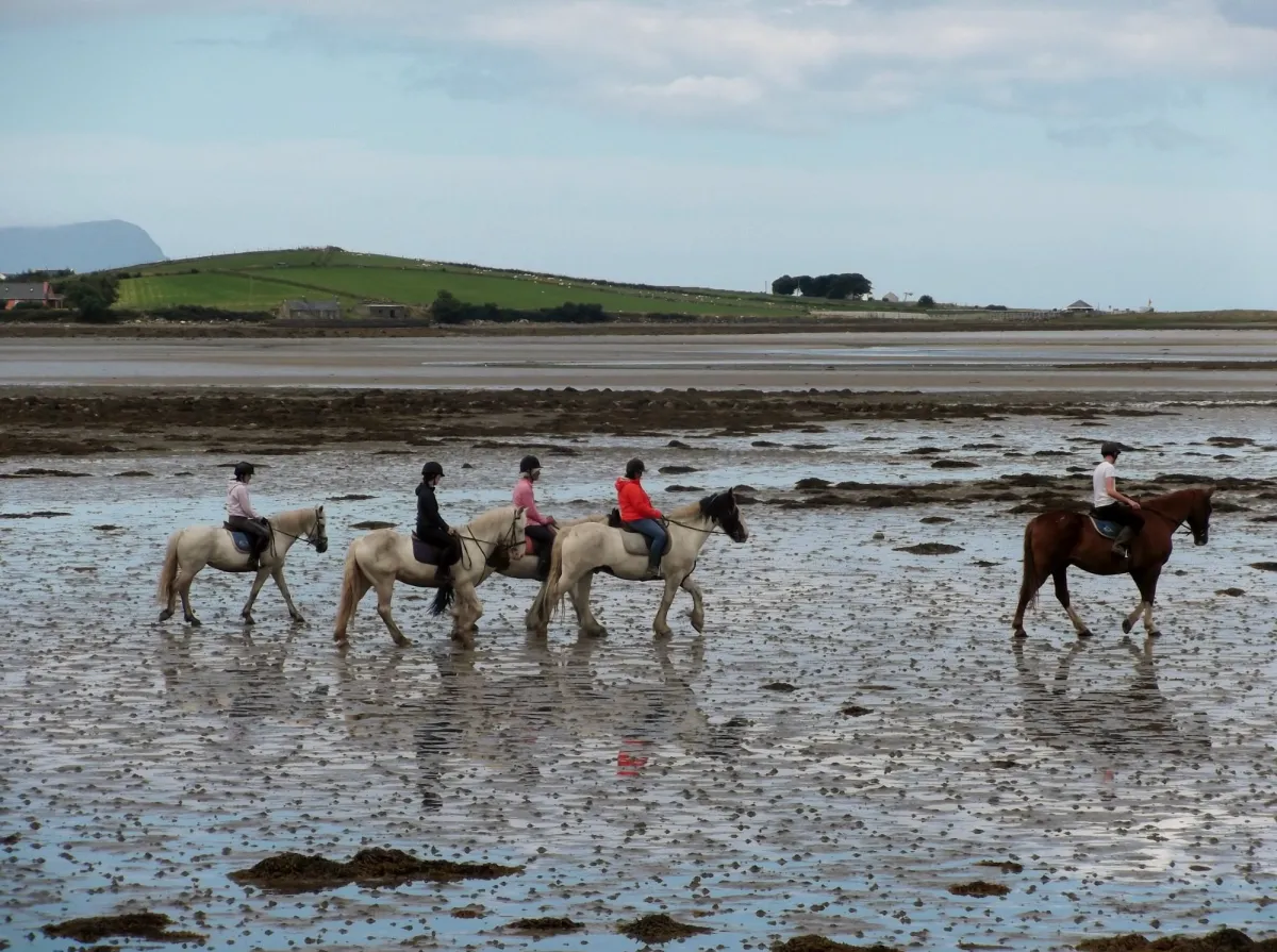 People riding horses on a beach.