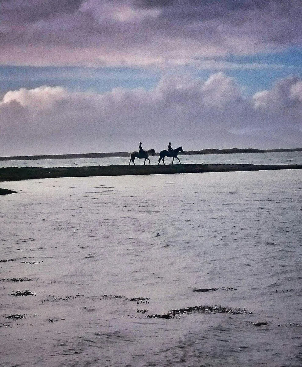 Two people riding horses along a beach at sunset.