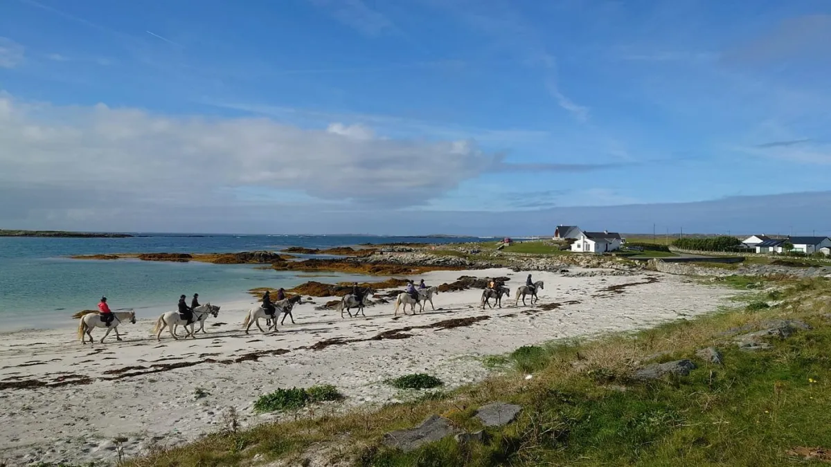 People riding horses on a sandy beach by the sea.