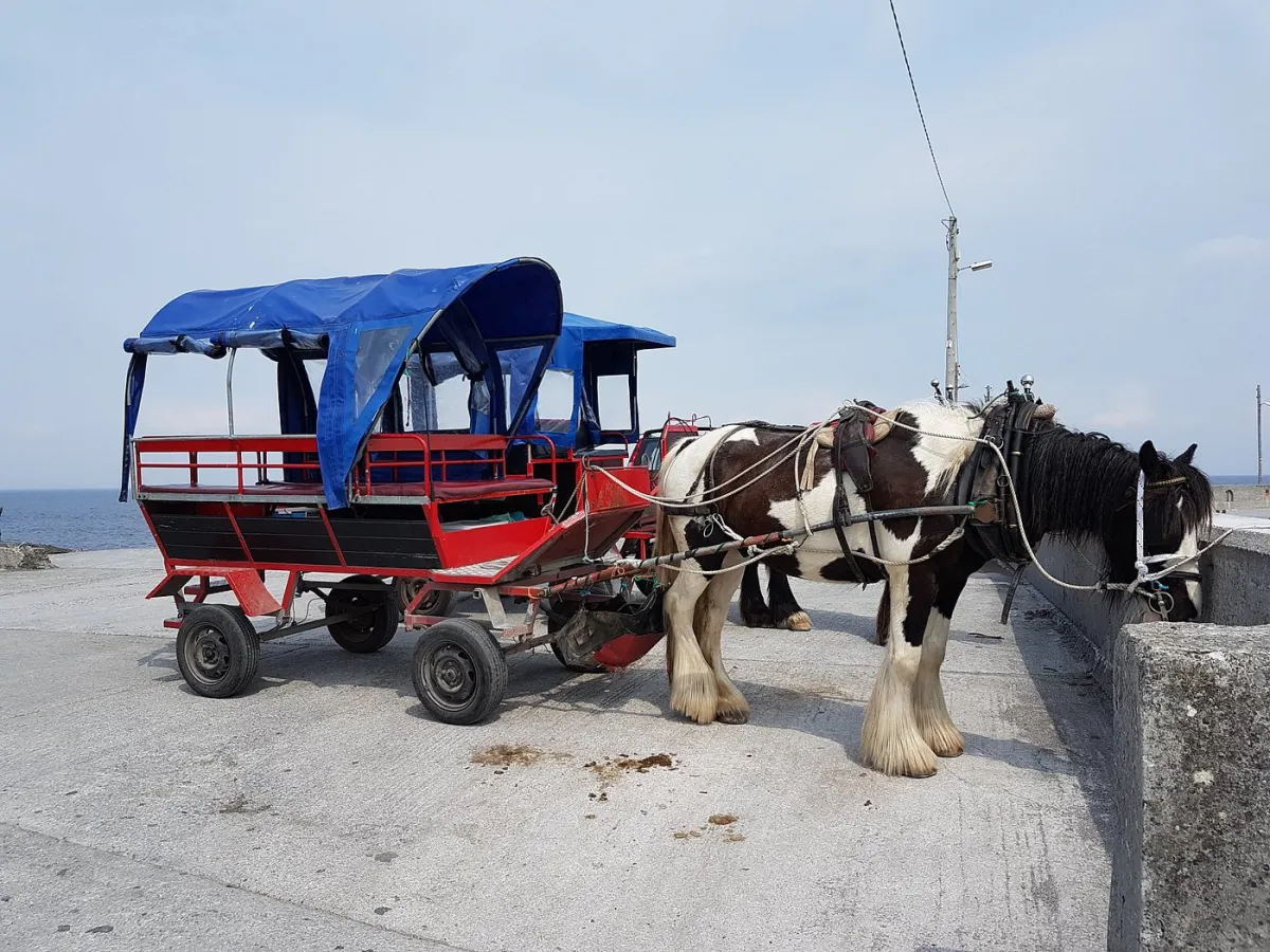 Horse-drawn carriage with blue canopy by the sea.