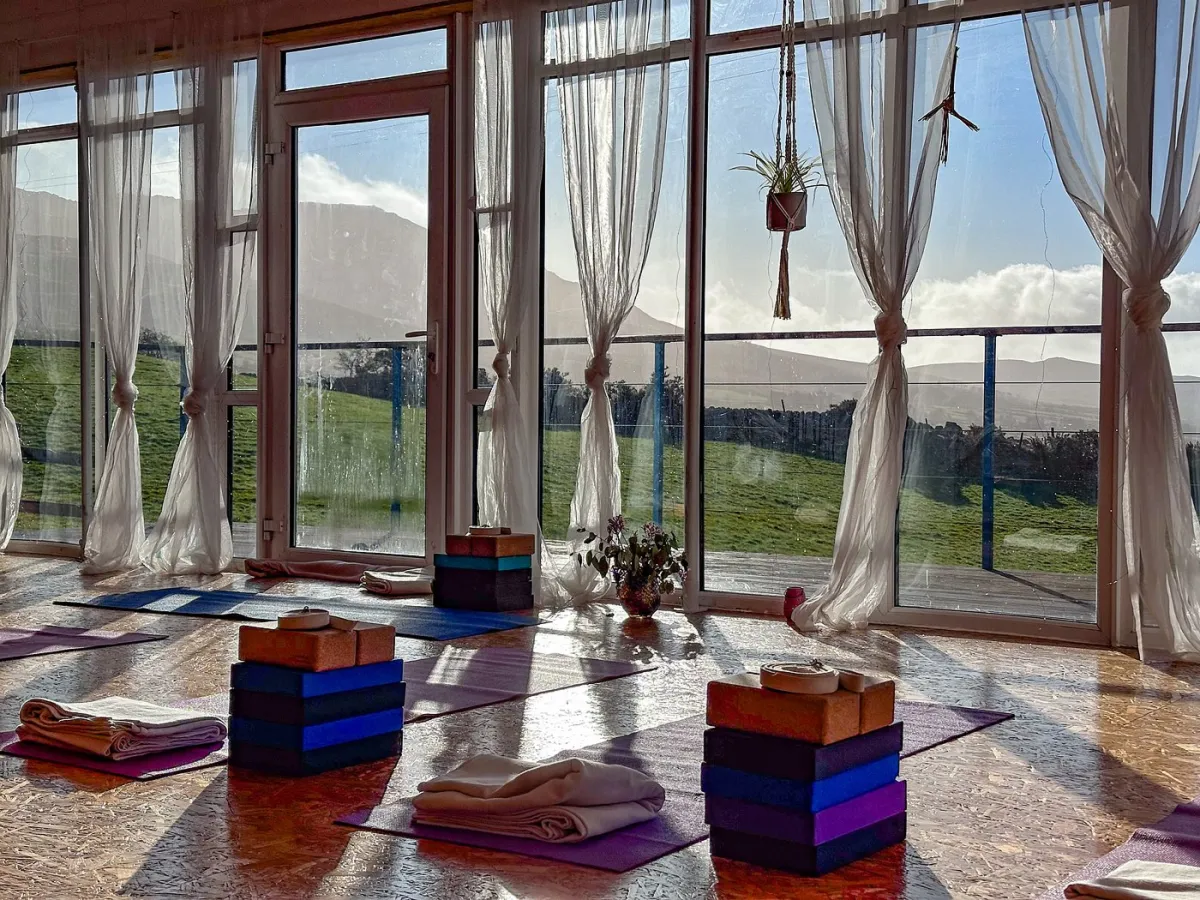 Yoga studio with mats and blocks facing large windows.