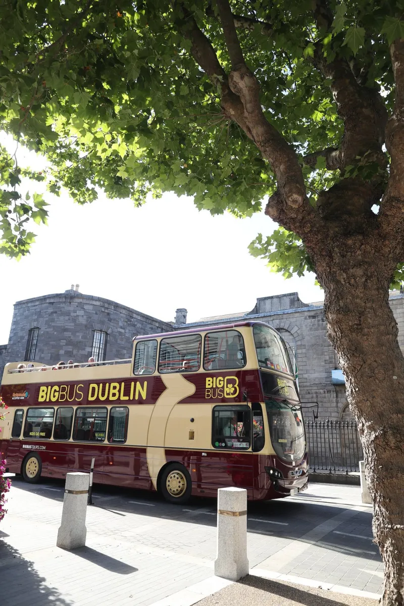 Double-decker tour bus in Dublin under a tree.