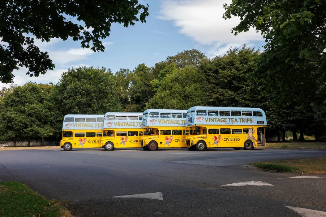 Three vintage double-decker buses in a park setting.