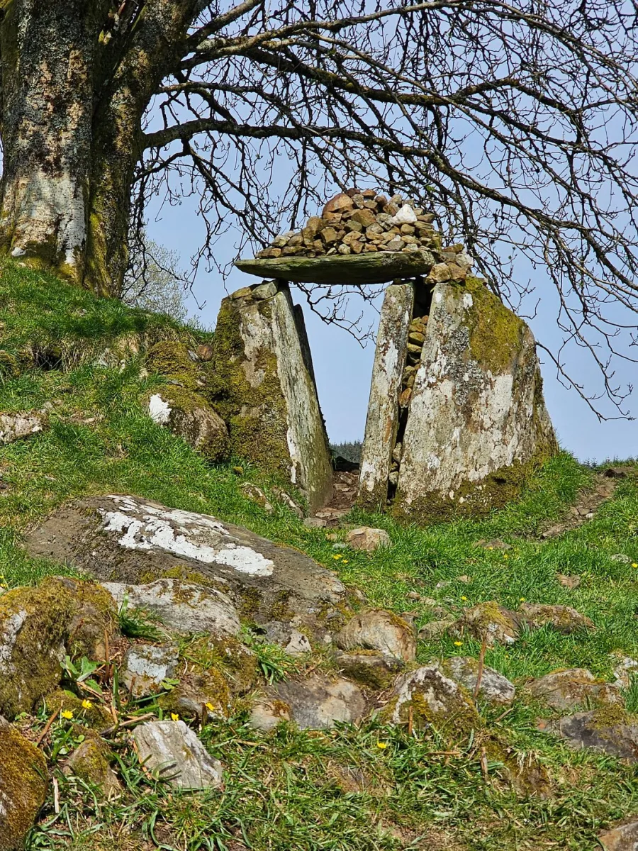 Stone structure under a tree with a rock pile on top.
