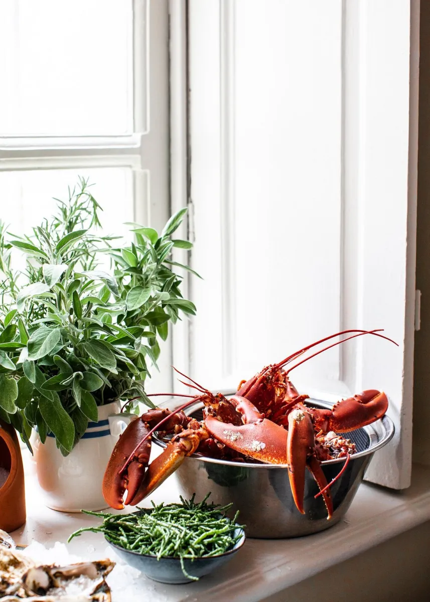 Lobster in a bowl with herbs and seaweed on a windowsill.