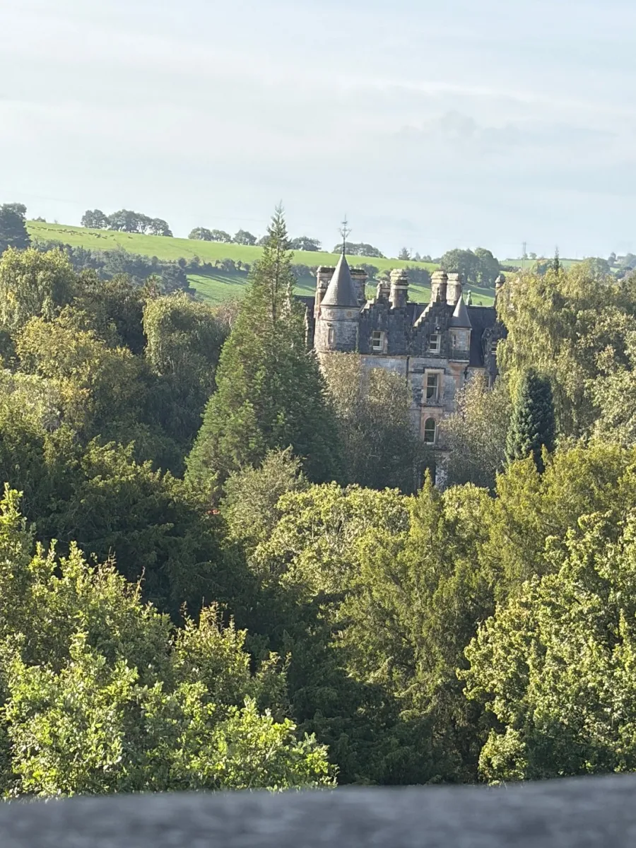 Castle surrounded by trees and greenery.