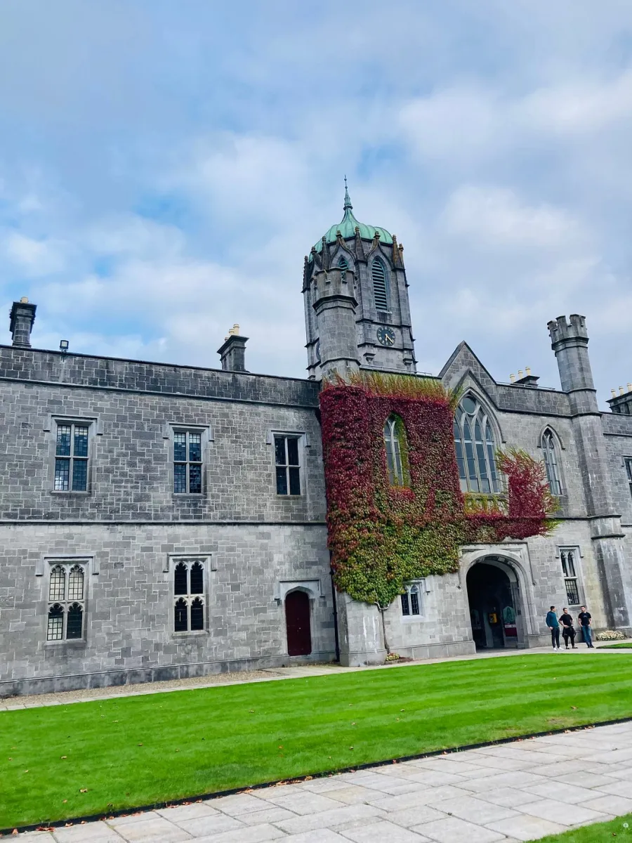 Stone building with ivy and a clock tower