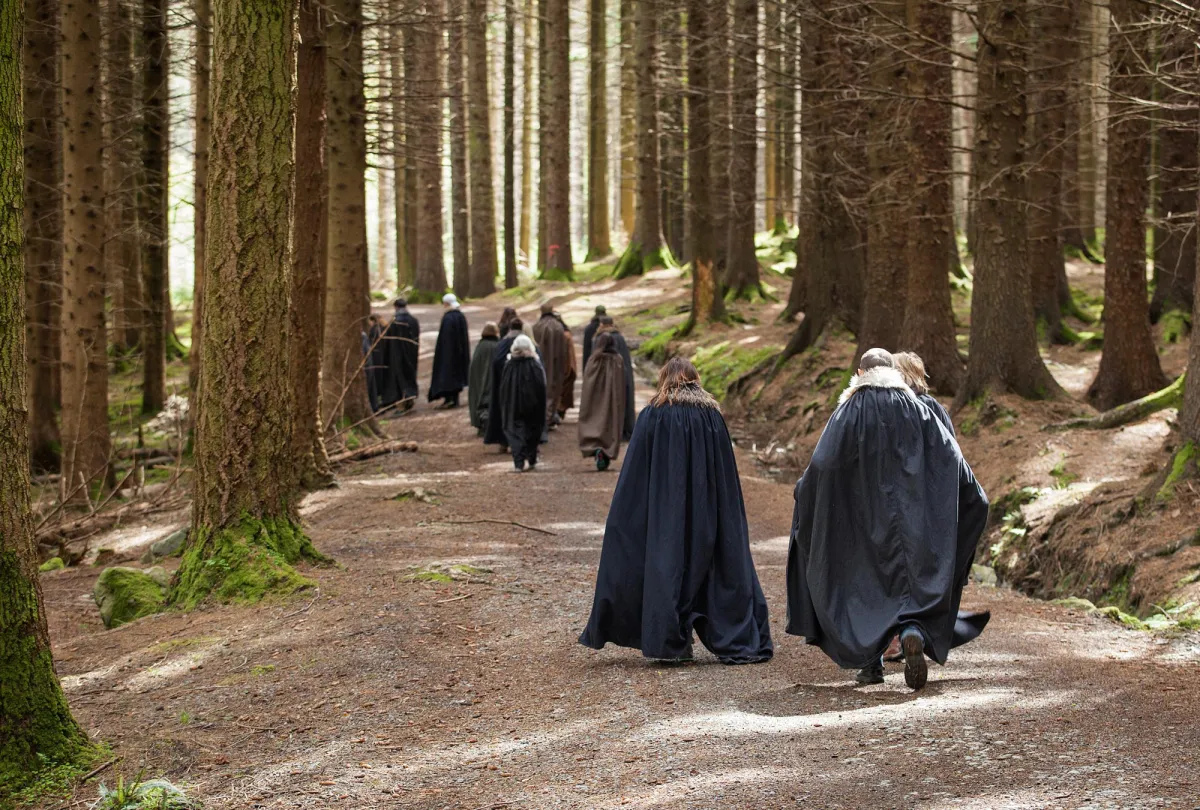 People in cloaks walking through a forest path