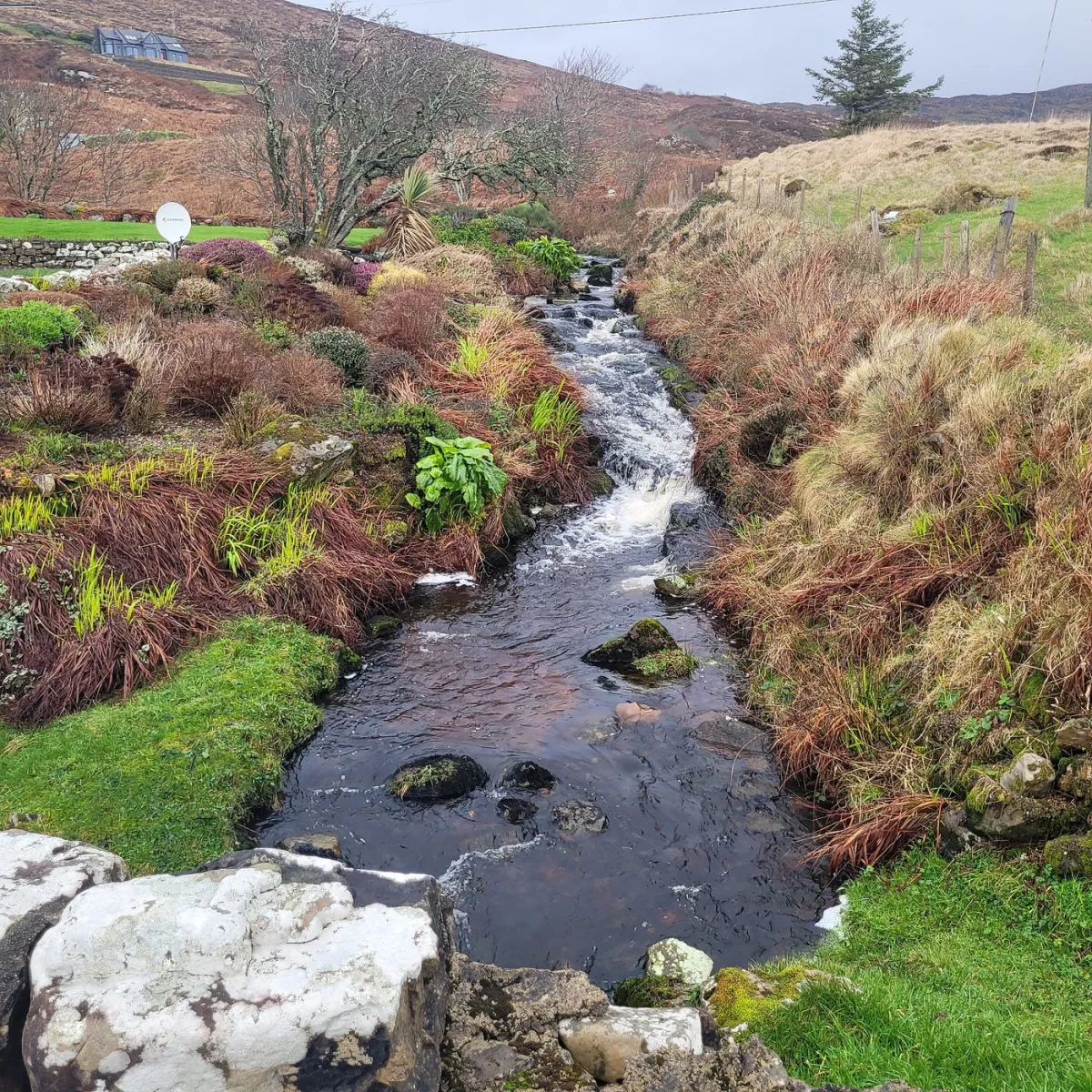 Small stream flowing through a grassy landscape