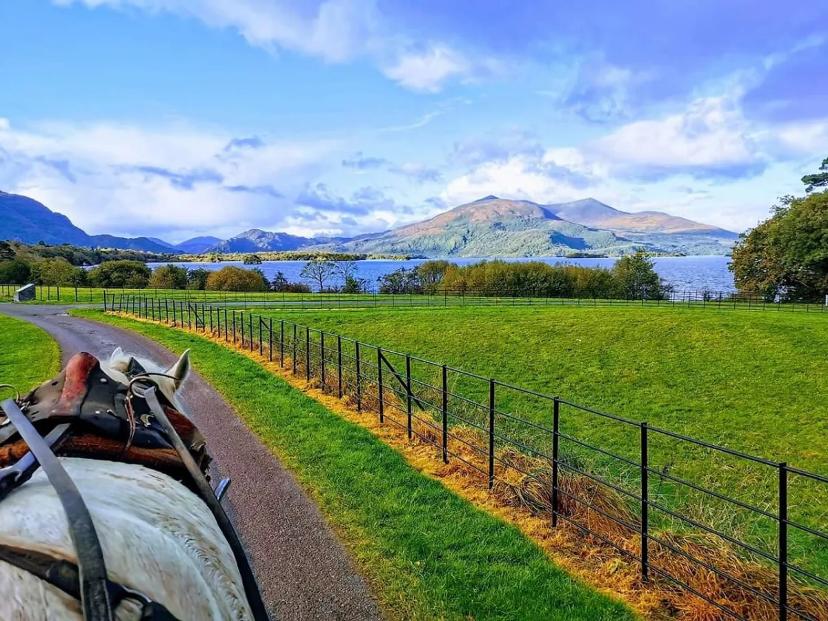 Horse-drawn carriage on a path by a lake and mountains.