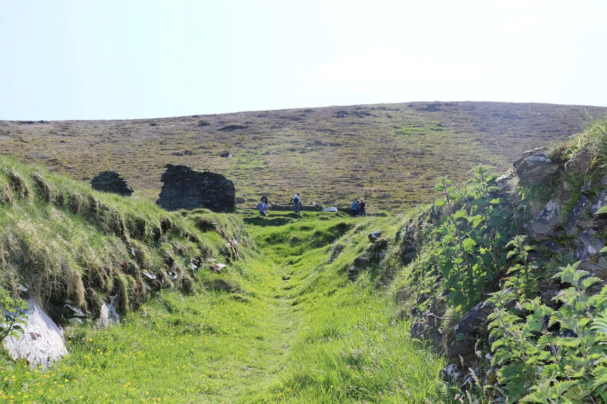 Grassy path leading to ruins on a hill