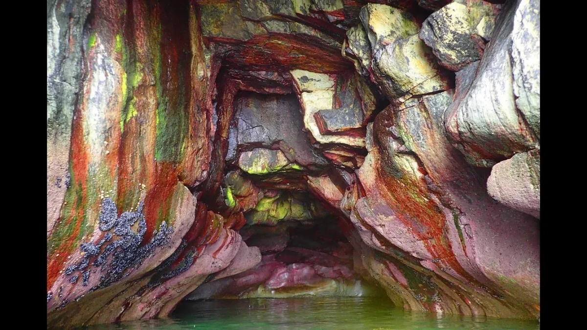 Atlantic Sea Kayaking — recreation base in Cork, colorful sea cave