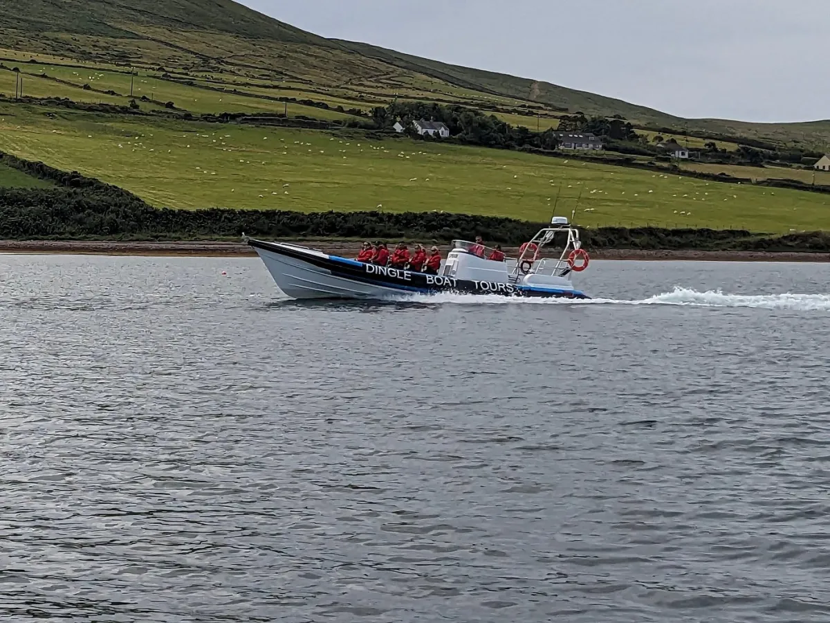 Tour boat on water with green hills in background