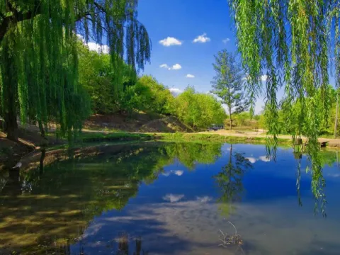 Healing springs, patience