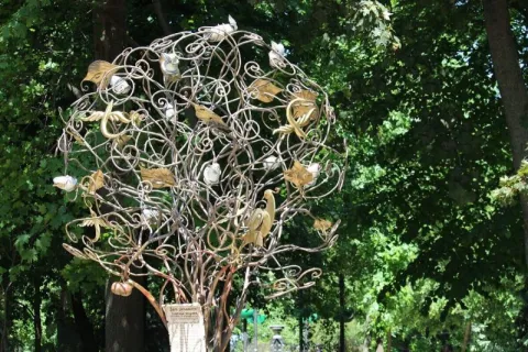 Дерево бажань, Київ