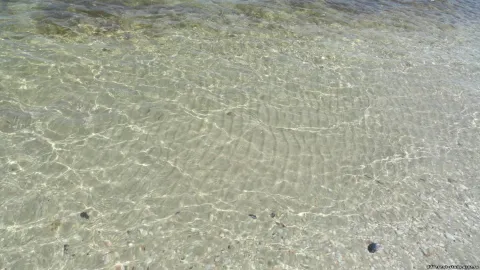 Чорноморський біосферний заповідник