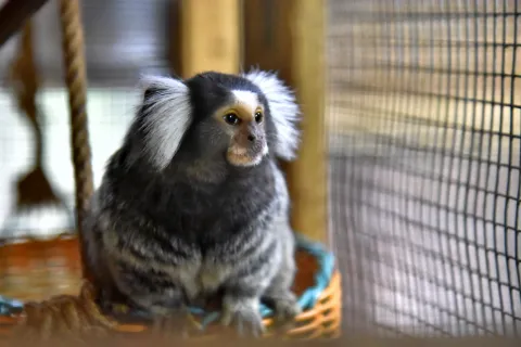 Луцький зоопарк