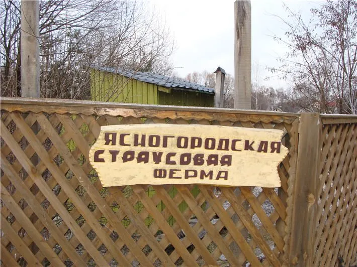Вивіска Ясногородської страусової ферми.