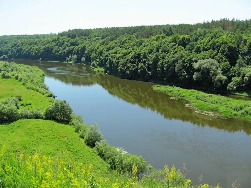 Надслучанський регіональний ландшафтний парк річка Случ Полісся