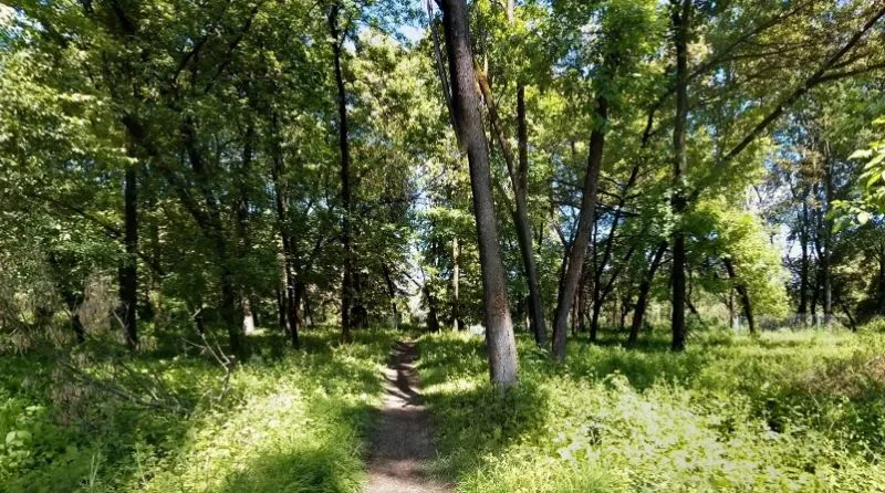 Боздоський парк, Ужгород