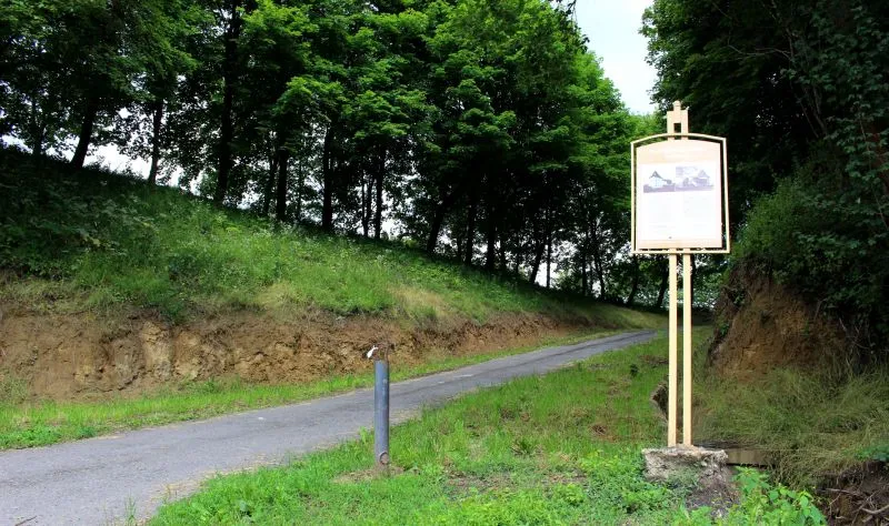 Галицький замок, Галич