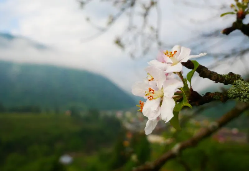 Національний природний парк «Синевир»