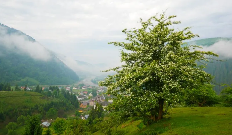 Національний природний парк «Синевир»