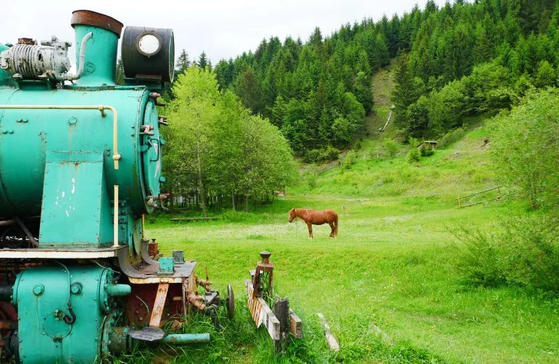 Національний природний парк «Синевир»