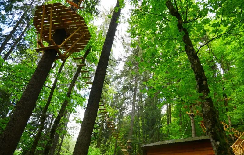 Національний природний парк «Синевир»