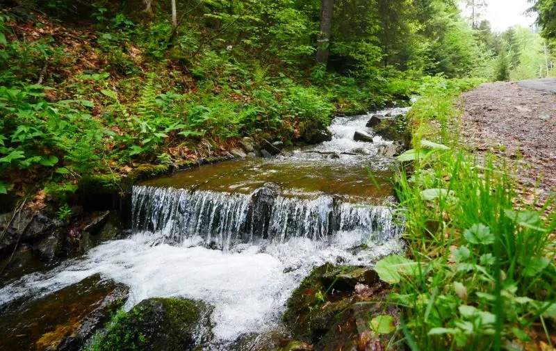 Національний природний парк «Синевир»
