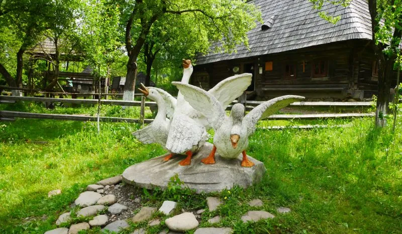 Музей «Старе село» — скульптура гусей на території скансену в Колочаві