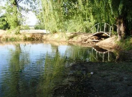 Цілющі джерела, Терпіння
