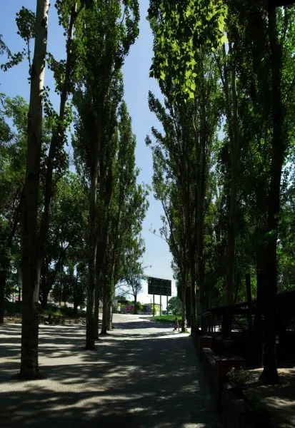 Vorontsov Park, Dnipropetrovsk