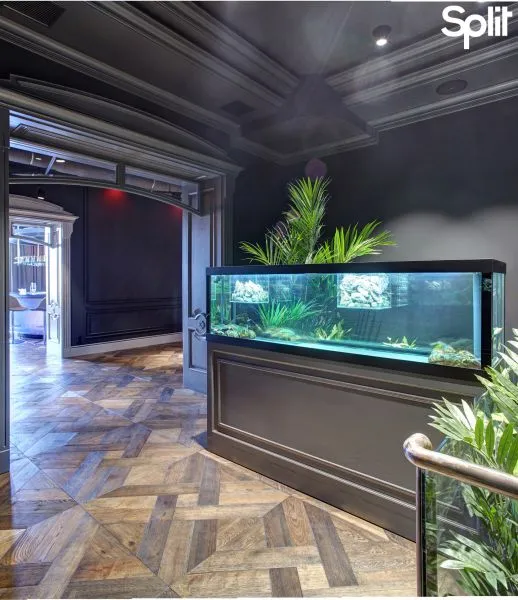 Акваріум у сучасному інтер'єрі