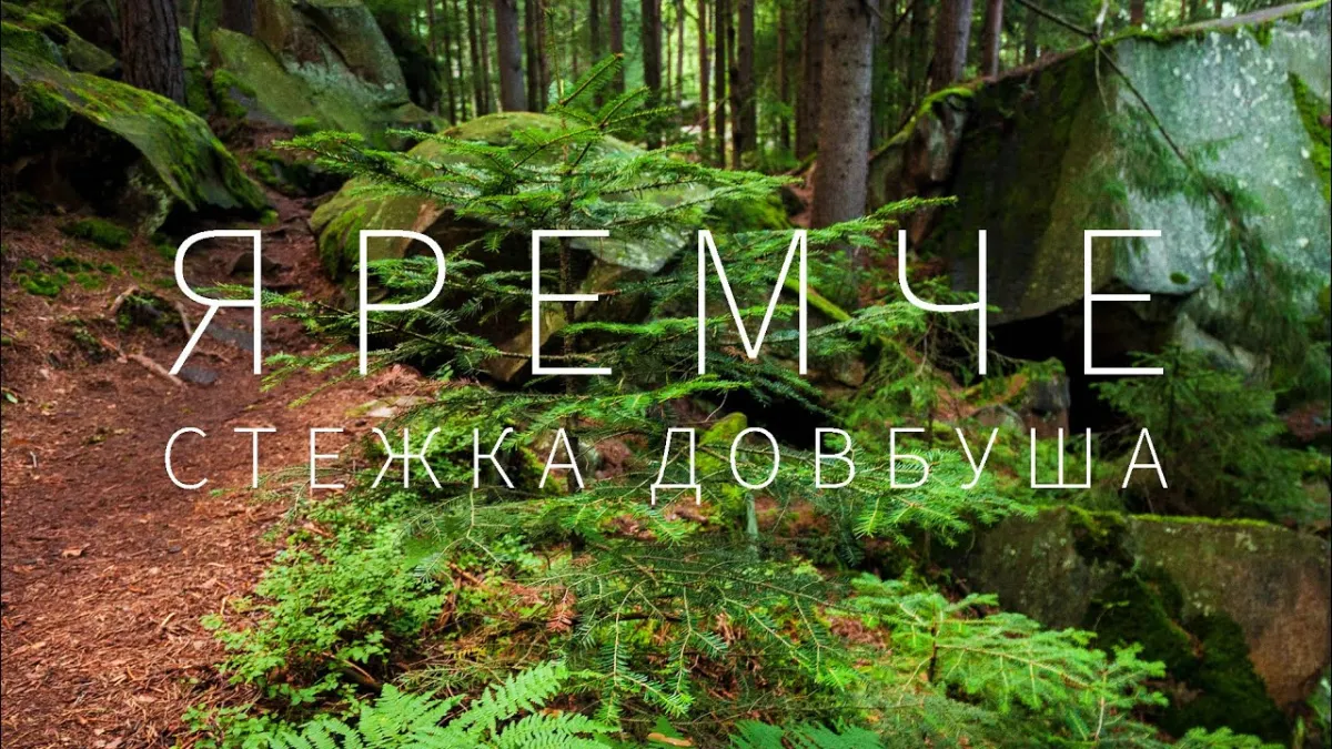 Лісова стежка з написом Яремче Стежка Довбуша