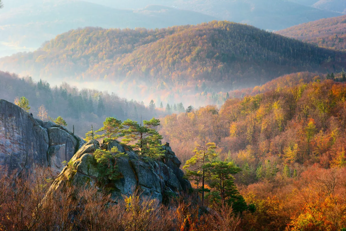 Осінній пейзаж з горами та лісом