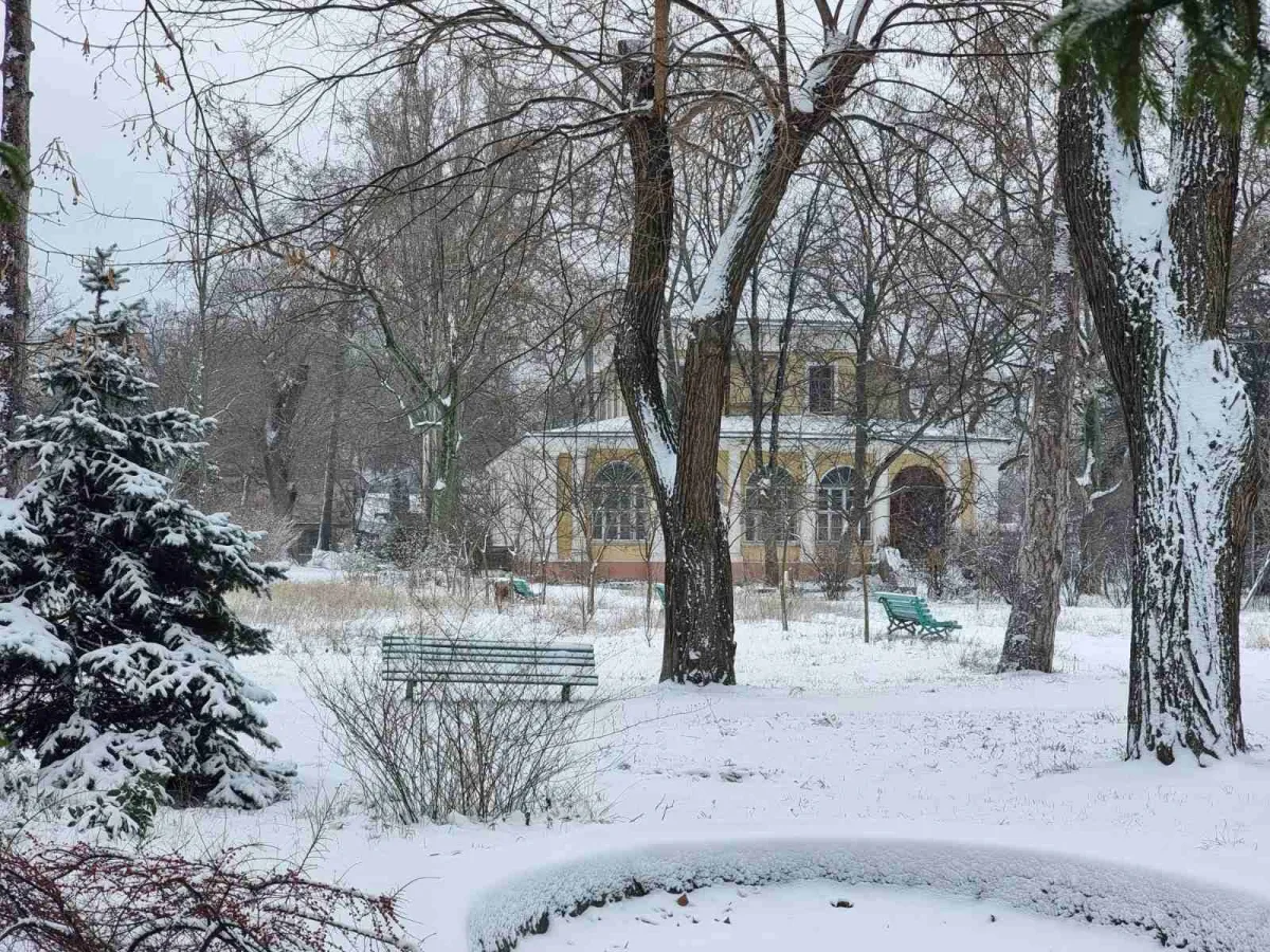 Одеський ботанічний сад, Одеса