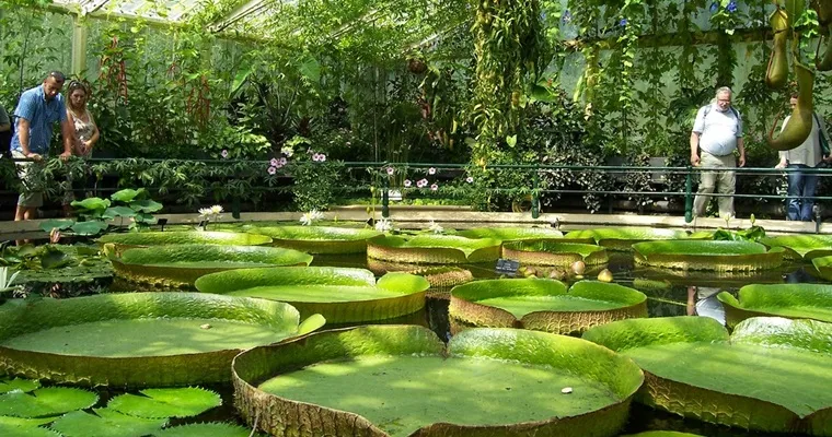 Одеський ботанічний сад, Одеса