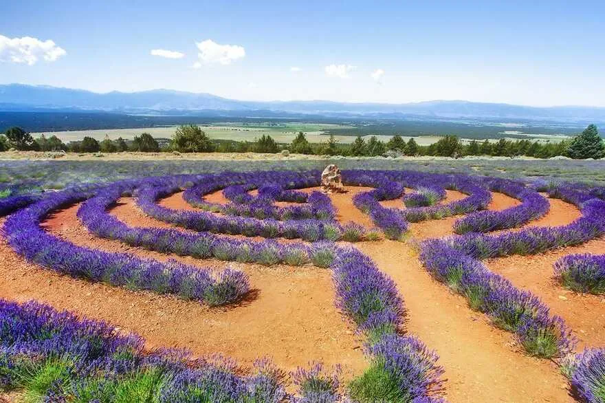 Одеський ботанічний сад, Одеса