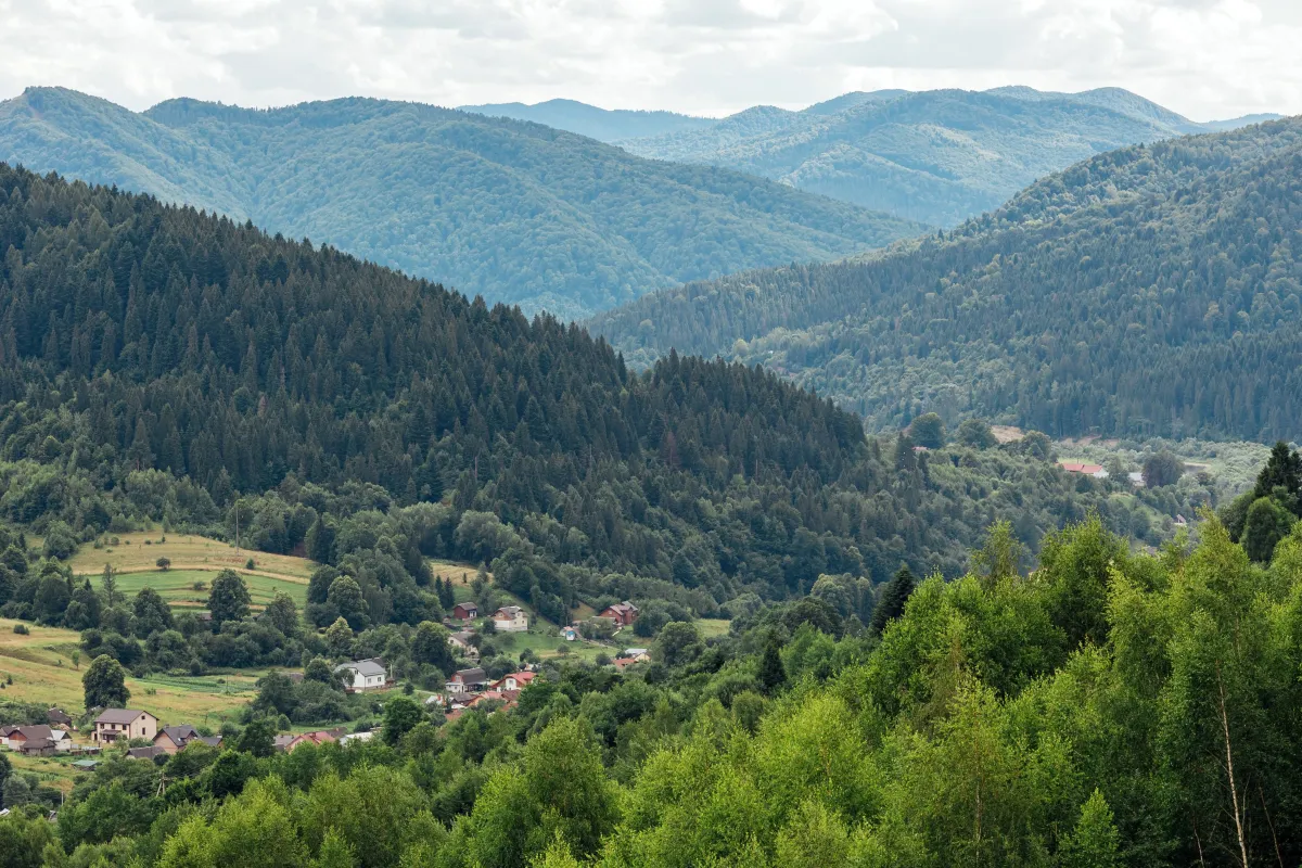 Панорамний вид на Карпатські ліси та курорт Східниця з території готелю Panorama Skhidnytsya.