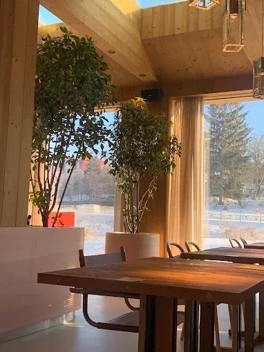 Світла зала City Pizza Bistro «Любов і Люди» в Рівному з дерев'яними столами, живою зеленню та панорамними вікнами